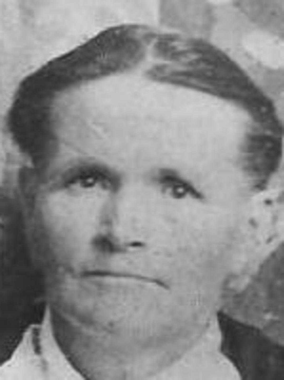 Lenora Rees (1853 - 1908) Profile